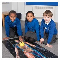 TT - Bee-Bot Podložká Lidské tělo