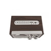 Orava RR-29 A rádio, 1 x 3,5W, AM / FM rádio, USB, AUX vstup, SD karta, hnědá / stříbrná