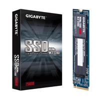 GIGABYTE SSD 256GB M.2