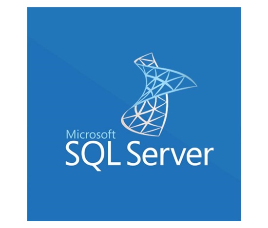 SQLSvrStdCore 2019 OLP 2Lic NL Gov CoreLic Qlfd