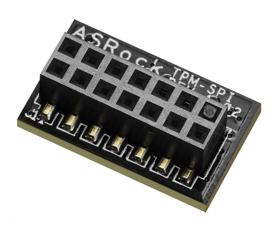 ASRock TPM-SPI