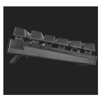 TRUST herní klávesnice GXT 835 Azor Illuminated Gaming Keyboard CZ/SK