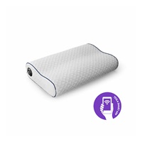Tesla Smart Heating Pillow