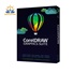 CorelDRAW Graphics Suite Education 365 dní obnovení pronájmu licence (251+) (Windows/MAC)