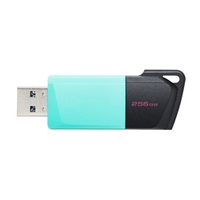 Kingston Flash Disk 256GB USB3.2 Gen 1 DataTraveler Exodia M (Black + Teal)