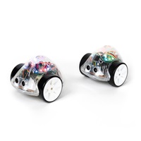 TT - Bee-Bot & Blue-Bot dřevěná překážková dráha