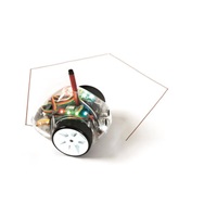 TT - Bee-Bot & Blue-Bot dřevěná překážková dráha