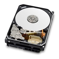 Western Digital Ultrastar® HDD 20TB (WUH722020ALE6L4) DC HC560 3.5in 26.1MM 512MB 7200RPM SATA 512E SE (GOLD)