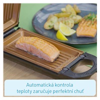 Livington Flip Switch multifunkční gril