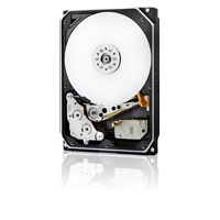 Western Digital Ultrastar® HDD 22TB (WUH722222ALE6L4) DC HC570 3.5in 26.1MM 512MB 7200RPM SATA 512E SE (GOLD)