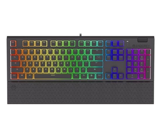 Endorfy herní klávesnice Omnis Pudd.Kaihl BL RGB /USB/ blue switch / drátová / mechanická / US layout / černá RGB