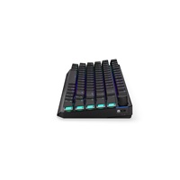 ENDORFY Klávesnice Thock 75% Wireless Black, Mechanická, Bezdrátová, ARGB, černá