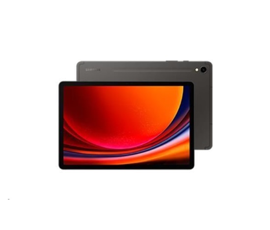 Samsung Galaxy Tab S9 (X710), 11", 12/256 GB, WiFi, EU, šedá