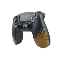 Freaks and Geeks Herní ovladač s motivem Hogwarts Legacy (PS4)