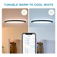 PHILIPS WiZ SuperSlim Stmívatelné stropní svítidlo 16W - černá