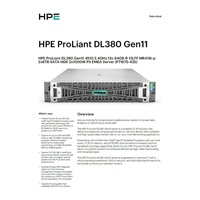 HPE PL DL380g11 4510 (2.4/12C) 2x32G 2x8TB (834028-b21) 2x1000W MR416i-p 12LFF 4x1Gb NBD333 Smart Choice