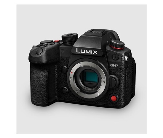 Panasonic GH7 body