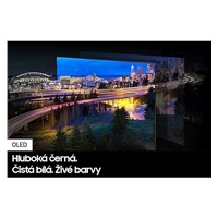 SAMSUNG TV 55" OLED 4K QE55S90D Série S90D (2024)