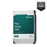 Synology 3,5" HDD HAT3300-2T Plus (NAS) (2TB, SATA III, 5400 RPM, 256MB)