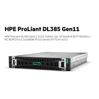 HPE PL DL385g11 AMD EPYC 9124 (3.0-3.7G/16C) 2x32G NS204i(2x480) 2x1000W 8LFF 2p10GT Smart Choice