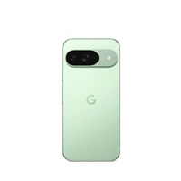 Google Pixel 9 - 256GB Wintergreen, EU