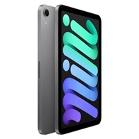 APPLE iPad mini (7. gen) Wi-Fi + Cellular 256GB - Space Grey