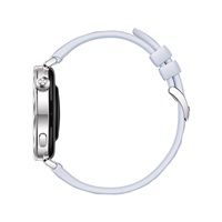 Huawei Watch GT5 41mm (Jana-B19FC), blue EU