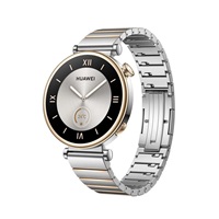 Huawei Watch GT4 41mm (Aurora-B19T), silver EU