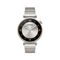 Huawei Watch GT4 41mm (Aurora-B19T), silver EU