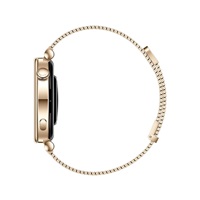 Huawei Watch GT4 41mm (Aurora-B19M), gold EU