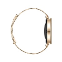 Huawei Watch GT4 41mm (Aurora-B19M), gold EU
