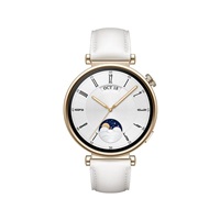 Huawei Watch GT4 41mm (Aurora-B19L), white EU