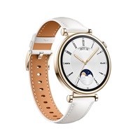 Huawei Watch GT4 41mm (Aurora-B19L), white EU