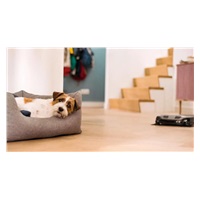 BAZAR - Miele Scout RX3 Runner SPQL robotický vysavač, 3D Smart navigace, 4 režimy, časovač - poškozený obal