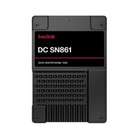 SanDisk Enterprise SSD 7.68TB DC SN861, PCIe Gen5, (R:13700, W:7500MB/s), RI-1DW/D BICS6 ISE