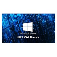 FUJITSU Windows 2025 - WINSVR CAL 10 User
