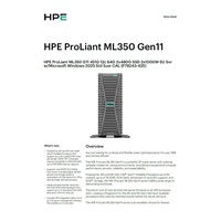 HPE PL ML350g11 4510 (2.4G/12C) 2x32G (P64706) 2x480G MR408i-o/4G 2x1000W 8-24SFFU3 4x1G WS2025STD Smart Choice