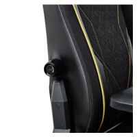 TRUST herní židle GXT 721 RUYA Pro Premium, černá