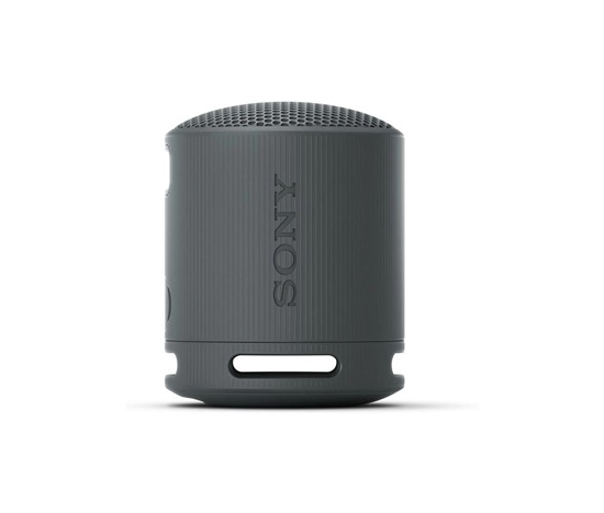 Sony Loudspeakers SRSXB100B.CE7 / SRS-XB100 Black