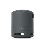 Sony Loudspeakers SRSXB100B.CE7 / SRS-XB100 Black