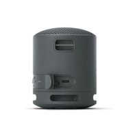 Sony Loudspeakers SRSXB100B.CE7 / SRS-XB100 Black