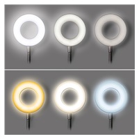 Solight LED stmívatelná stolní lampička s klipem, 300lm, nastavitelná teplota světla, USB