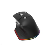 ACER bezdrátová myš Easy Fit Mouse,ergonomická,4000dpi,6 tlačítek,RGB,10m dosah,USB-C,BT,Black