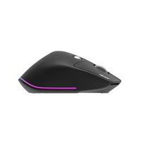 ACER bezdrátová myš Easy Fit Mouse,ergonomická,4000dpi,6 tlačítek,RGB,10m dosah,USB-C,BT,Black