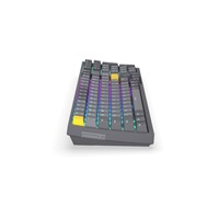 Endorfy herní klávesnice Celeris 1800, bezdrátová, yellow switch, mechanická, CZ layout, RGB