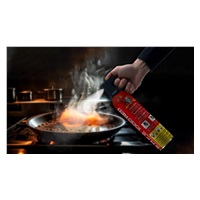 Safe SET Hasicí sprej 1000 RED + držák 100C