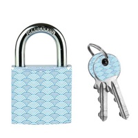 Master Lock Visací zámek  z pevného hliníku 3430EURDWAVE - 30mm