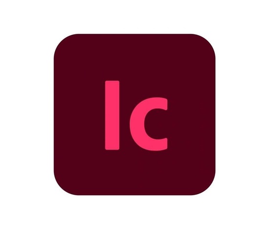 InCopy for teams MP ML (+CZ) Government 1 User, 12 Months, Level 2, 10 - 49 Lic