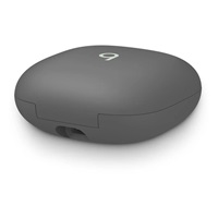 Apple Beats Fit Pro True Wireless Earbuds - Sage Grey