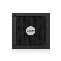 EVOLVEO G650 zdroj 650W, 80+ GOLD, ATX 3.1, aPFC, 140 mm ventilátor